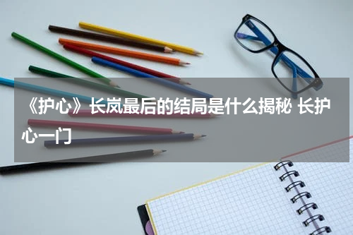 《护心》长岚最后的结局是什么揭秘 长护心一门