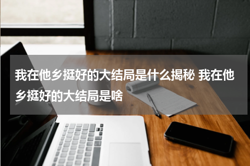 我在他乡挺好的大结局是什么揭秘 我在他乡挺好的大结局是啥