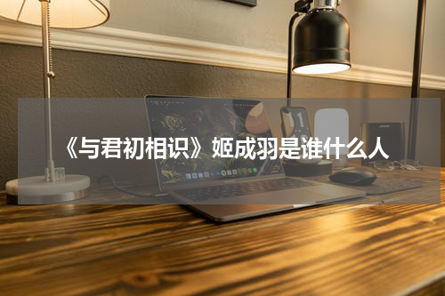 《与君初相识》姬成羽是谁什么人