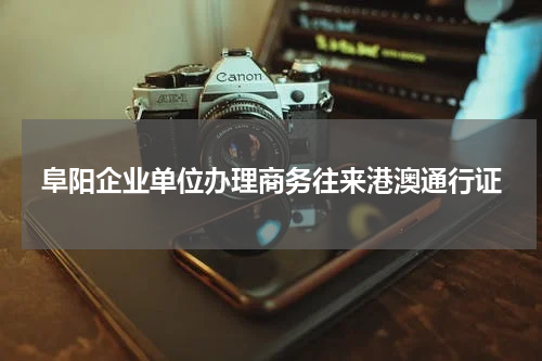 阜阳企业单位办理商务往来港澳通行证