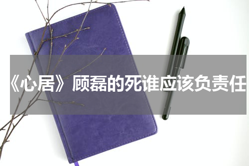 《心居》顾磊的死谁应该负责任