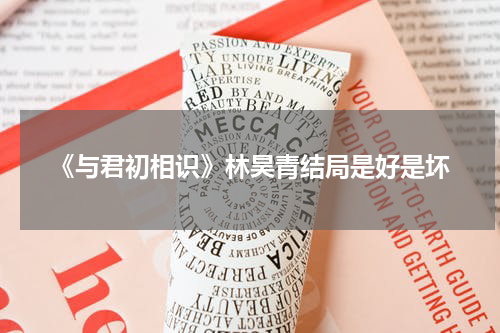 《与君初相识》林昊青结局是好是坏