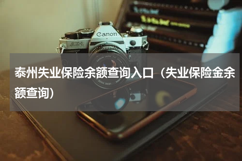 泰州失业保险余额查询入口（失业保险金余额查询）