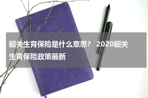 韶关生育保险是什么意思？ 2020韶关生育保险政策最新