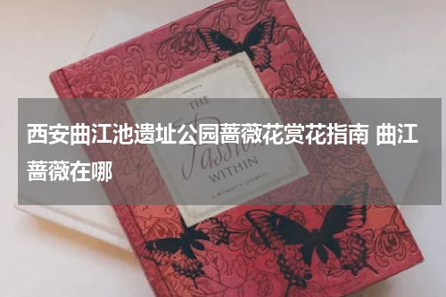 西安曲江池遗址公园蔷薇花赏花指南 曲江蔷薇在哪