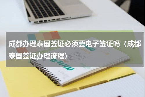 成都办理泰国签证必须要电子签证吗(成都泰国签证办理流程)