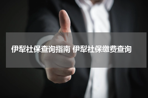 伊犁社保查询指南 伊犁社保缴费查询