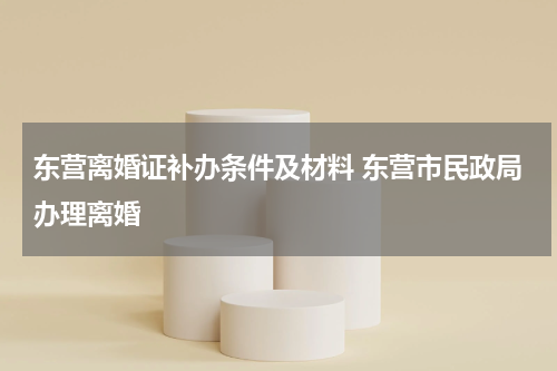 东营离婚证补办条件及材料 东营市民政局办理离婚