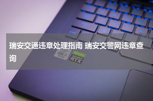 瑞安交通违章处理指南 瑞安交警网违章查询