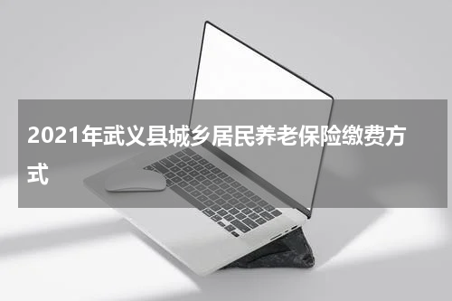 2021年武义县城乡居民养老保险缴费方式