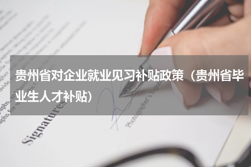 贵州省对企业就业见习补贴政策（贵州省毕业生人才补贴）