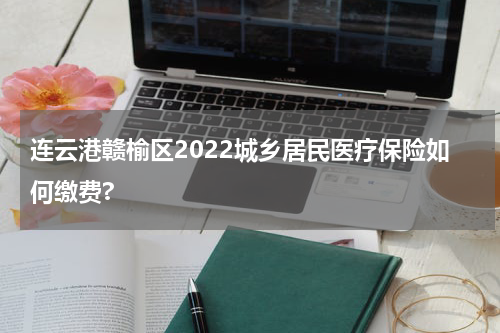 连云港赣榆区2022城乡居民医疗保险如何缴费?