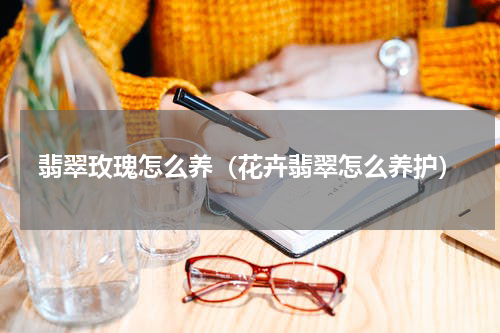 翡翠玫瑰怎么养（花卉翡翠怎么养护）