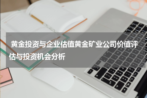 黄金投资与企业估值黄金矿业公司价值评估与投资机会分析