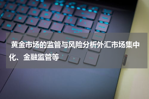  黄金市场的监管与风险分析外汇市场集中化、金融监管等
