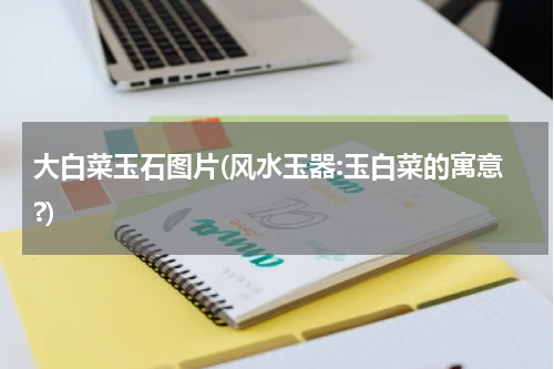大白菜玉石图片(风水玉器:玉白菜的寓意?)
