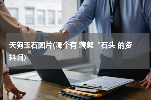 天狗玉石图片(哪个有 藏獒“石头 的资料啊)